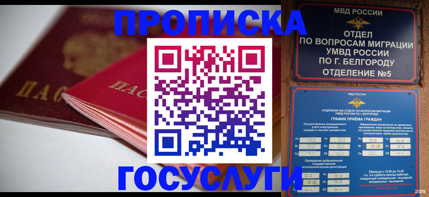 временная регистрация собственник в Миассе